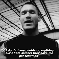 r-a-n-d-y-o-r-t-o-n:   In the honor of Randy Orton mentioning his fear of spiders