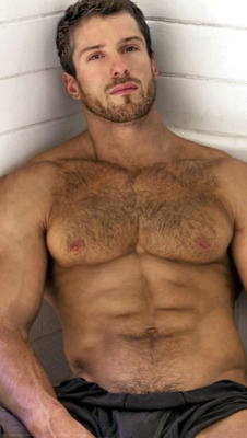 Hairy Men Pix