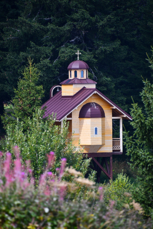 iyas-adventures: Vitosha mountain, Bulgaria | September 2021