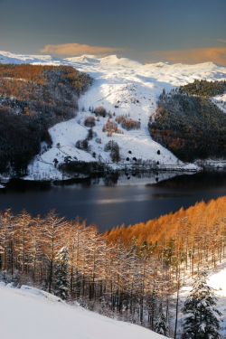 tulipnight:  Thirlmere from Helvellyn by Stewart