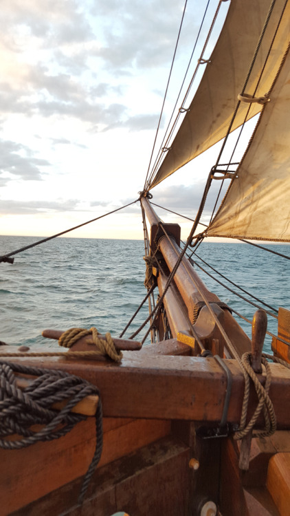 whitemanticore: Sailing on Melbourne’s tall ship, the Enterprize.