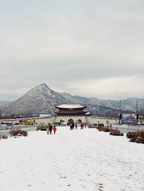 Gwanghwamun Plaza and Gyeongbukgung Palace on the first snow of the year.