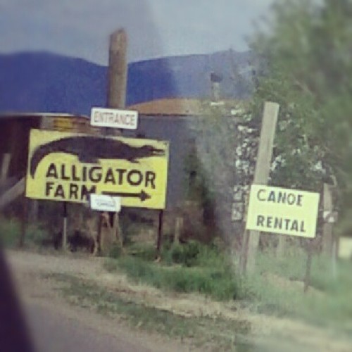 #SeemsLegit #signfail #colorado #gators #canoes