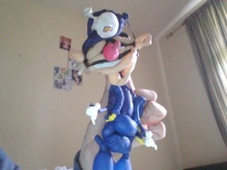 tahthetrickster:  chatotai:  a few months ago, i bought a balloon waluigi. i found him again today and i’ve never been so scared in my entire life  #it’s a cold and it’s a broken waluigi 