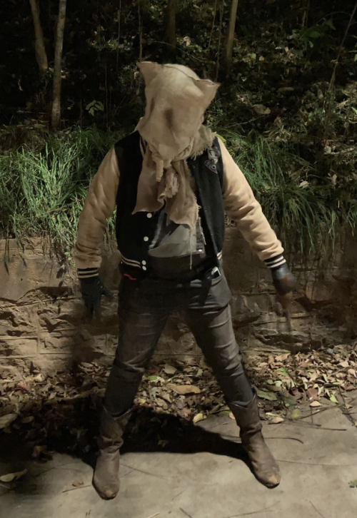 THE BEAST UNLEASHED during this Halloween&hellip;made the baghead myself, dyed a number of old thing