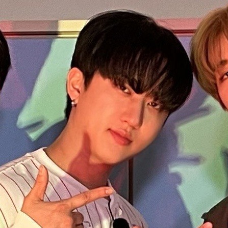 Stray Kids Matching Icons/metadinhas.