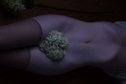 dianamsphotography:  Hydrangea and @asmallwoman #nude #photography #hydrangea #naturallight #noediting 