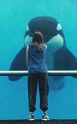 seadogtheseagod:  AWWW  