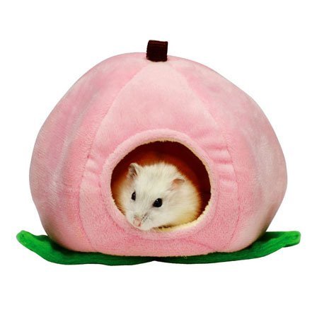 inugakuen:サンコー　昔ばなしのももハウス - Peach-shaped hamster house on amazon