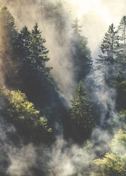 xxx tumblr