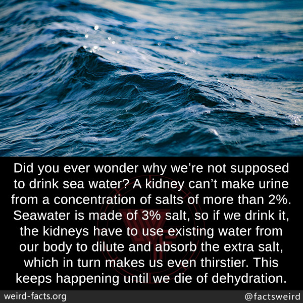 mindblowingfactz:  Did you ever wonder why we’re not supposed to drink sea water?