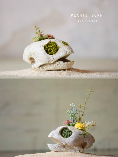 newpagan: sosuperawesome: Handmade Realistic Skull Planters by ECHIDNA on Etsy See more planters So 