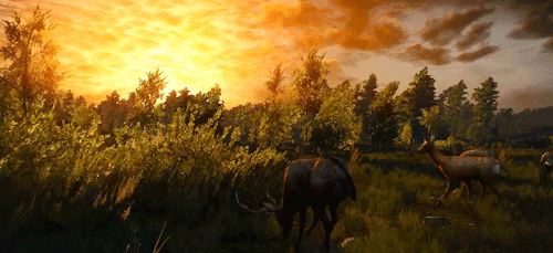 slothssassin:The Witcher 3: Scenery - White Orchard