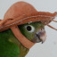 awildfryingpan