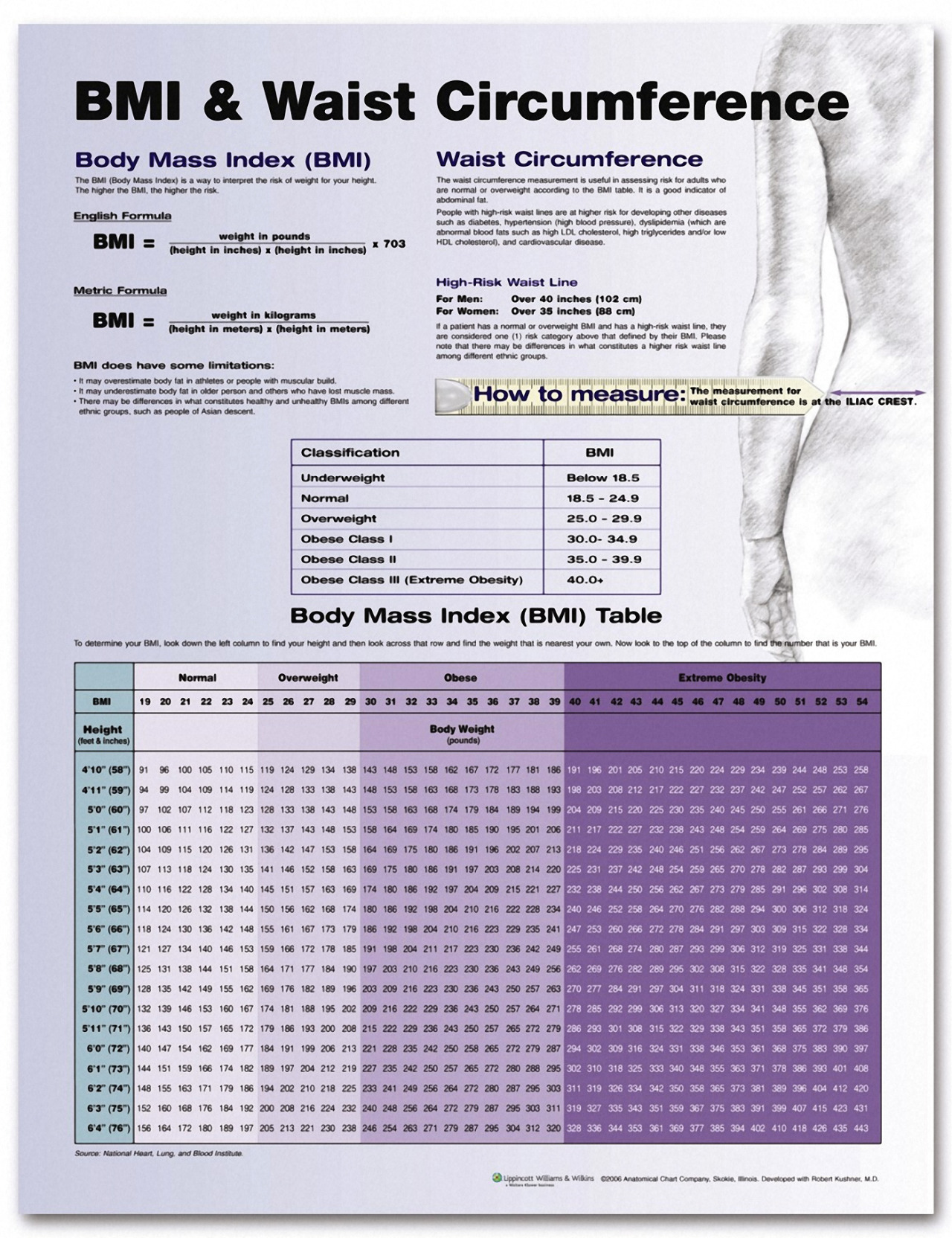 ahealthblog:  BMI And Waist Circumference Chart