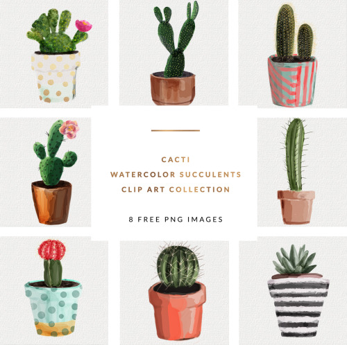 Watercolour Succulents Clip Art | Gold &amp; BerryWhat a perfect set of succulents! Not only can