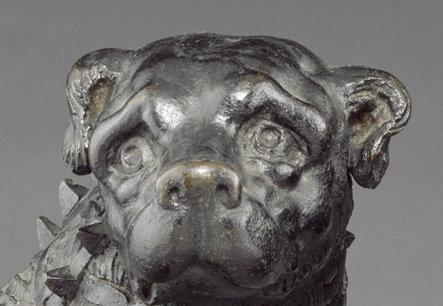 The tiniest bear next to the most giant dog? In the 1500s realistic animals sculptures were on trend