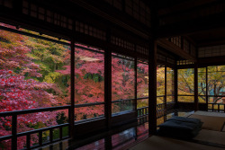 ourbedtimedreams:   	1844 by Toshi    	 Via Flickr: 	 Camera &amp; Lens:. Canon EOS-5D Mk II + EF17-40mm F4L USM [Kyoto autumn 2014] landscape of autumn Kyoto Yase peripheral Ruriko Institute. The location of the picture is Rurikouin Temple in Kyoto.