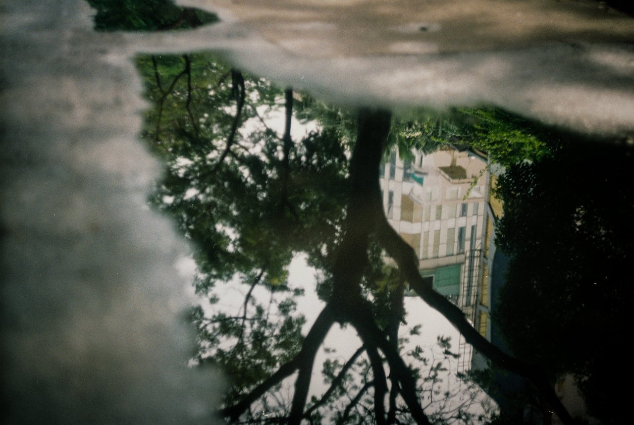 Terry Magson Analogue Photographer