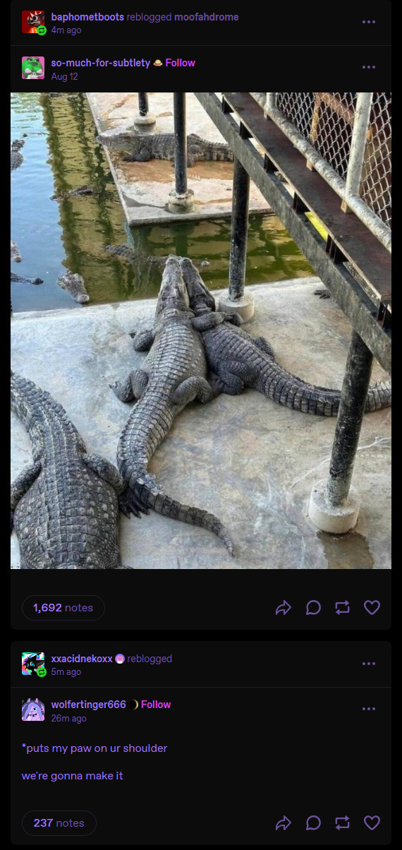 Tumblr media