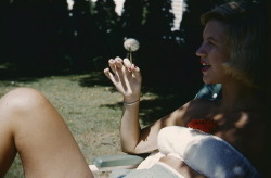 Sylvia Plath in 1954, during her “platinum
