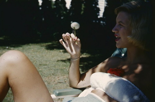 bibliochor: Sylvia Plath in 1954, during her “platinum summer”.  © The Lilly L