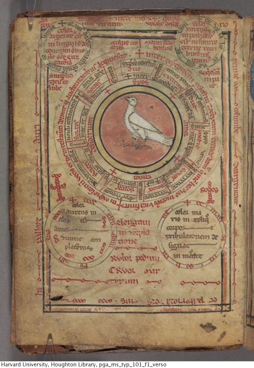 houghtonlib:Hugh, of Fouilloy, -1172 or 1173. De bestiis et aliis rebus : seu Columba deaurata : man