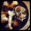 the-starving-mushroom
