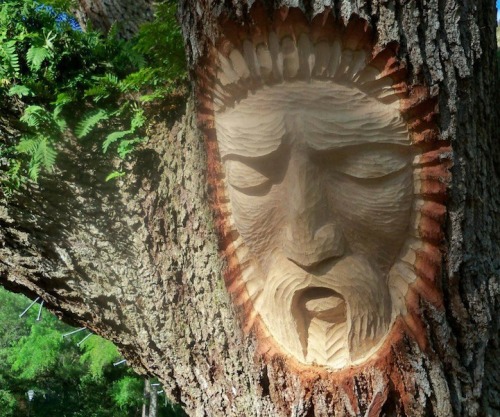 theartfulgarden:  keith jennings spirit trees / TheArtfulGardener / on TTL Design