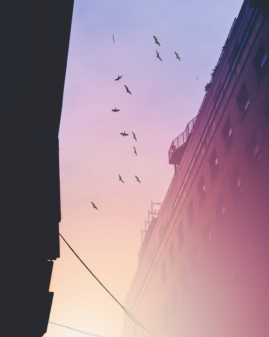 archatlas:    Davide Sasso  