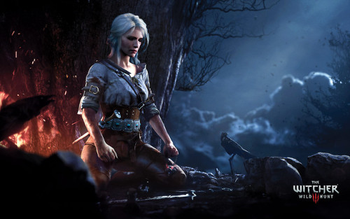 An image I was honored to do for CD Projekt RED’s The Witcher 3: Wild Hunt, first as an art te