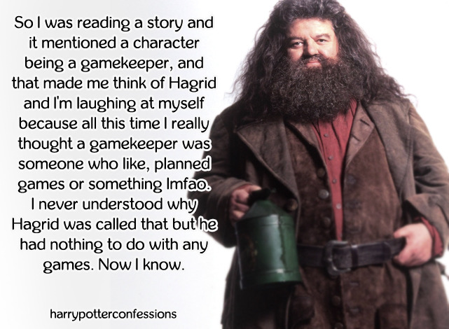Image tagged with Harry Potter Hagrid funny on Tumblr