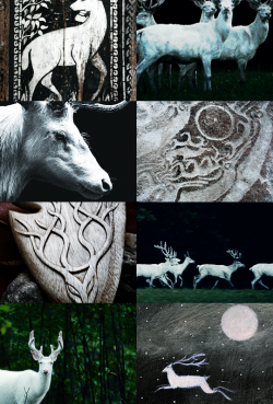 thegodawfulgatsby:  Thedas Aesthetics -