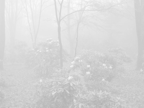matiasywea.tumblr.com/post/92465172901/