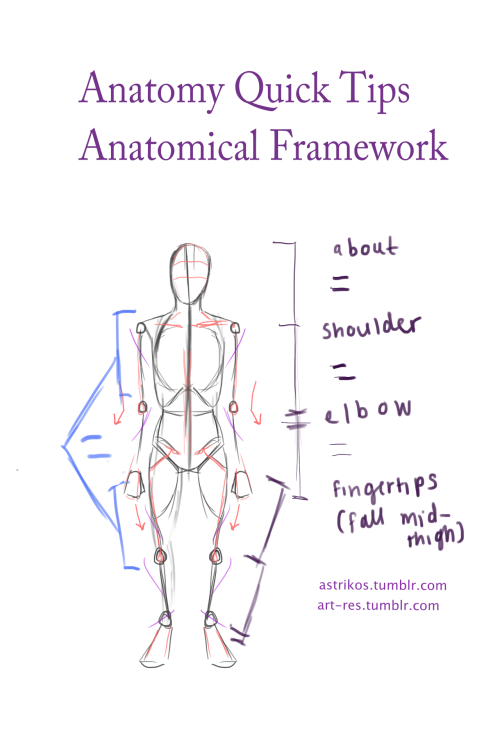 astrikos - Anatomical Framework Tips 2.0 by Astrikos*...