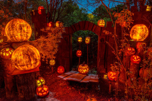 bookofoctober:Roger Williams Park, Providence, RI. Photos by Frank C. Grace