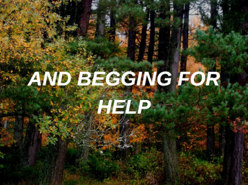 at-102-am: if i believe you // the 1975