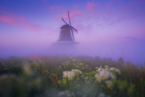 archatlas:     Dutch Windmills in the Fog  Photographer Albert Dros woke up early in the morning to shot the incredible windmills’ village of Zaanse Schans. He creates then a fairy atmosphere looking like a Grimm brother’s novel. The village, usually