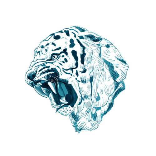 A digital tiger drawing. This is going to be a sample for the private commission framework I’l