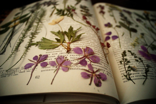 botanical-inspiration:byOlesya k