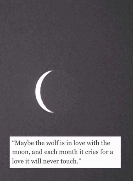 &ldquo;Maybe the wolf is in love with the moon, and each month it cries for a love it will never