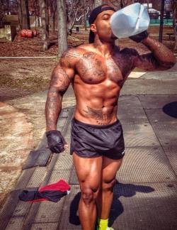 The Better Bulge