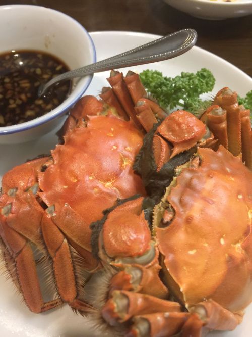 海上海 で上海蟹を味わう ちょっぴり贅沢な旬のごちそう Rojiroji Blog ロジロジブログ 谷根千のおすすめ 海上海 で上海蟹を味わう ちょっぴり贅沢な旬のごちそう Rojiroji Blog ロジロジブログ 谷根千のおすすめ