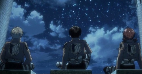 Levi