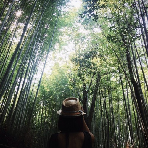 instagram:  Arashiyama’s Bamboo Forest  In the Arashiyama (嵐山) district of Kyoto, Japan, is the jaw-dropping Sagano Bamboo Grove. The forest was the setting of Japanese novelist and poet Lady Murasaki Shikibu’s acclaimed novel, “The Tale