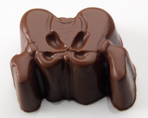  anatomical chocolate 