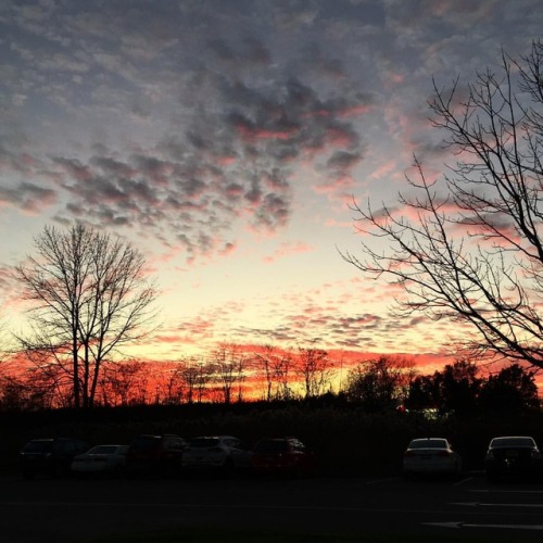 Lake Ontario&rsquo;s got some pretty skies. #websterny #sunset (at Webster (town), New York)