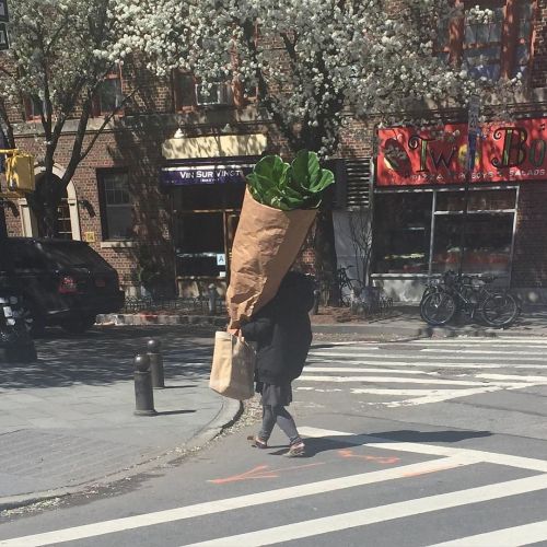lolfactory:  Biggest blunt you’ll see today [source]