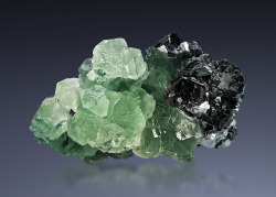 fuckyeahmineralogy:  Fluorite with Sphalerite