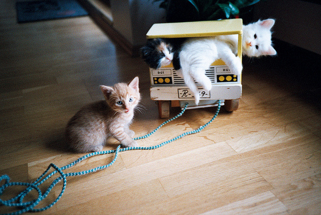 bitrates:  by Dj Munnskol  